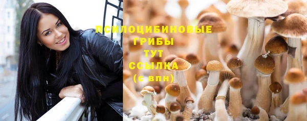 ALPHA PVP Армянск