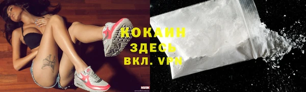 твердый Арсеньев